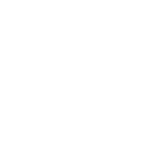 allyspin- 18plus